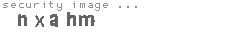 security image