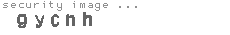 security image