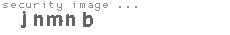 security image
