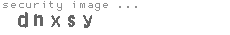 security image