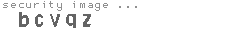 security image