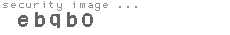 security image