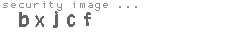 security image