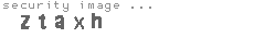 security image