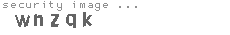 security image