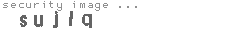 security image