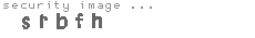 security image