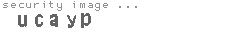 security image