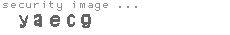 security image