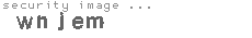 security image