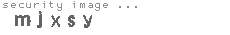 security image
