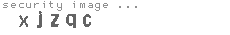 security image