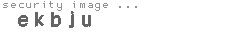 security image