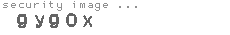 security image