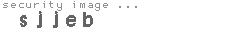 security image