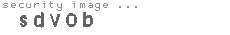 security image