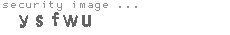 security image