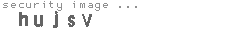 security image