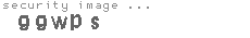 security image
