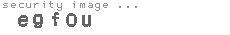 security image