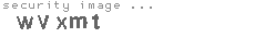 security image