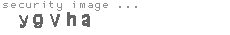 security image