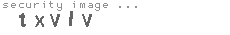 security image