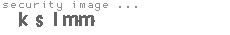 security image