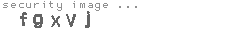 security image