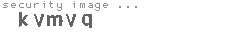 security image