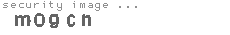security image