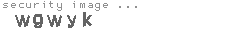 security image