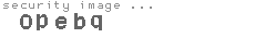 security image