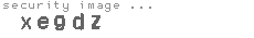 security image