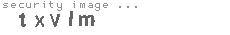 security image