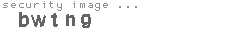 security image