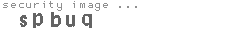 security image