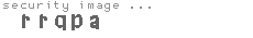 security image