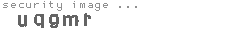 security image