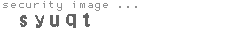 security image