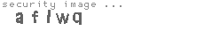 security image