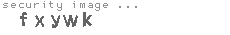 security image