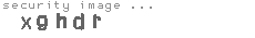 security image