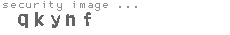 security image
