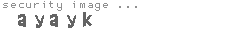 security image