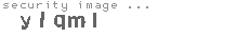security image