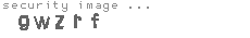 security image
