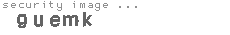 security image