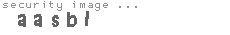 security image
