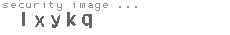 security image